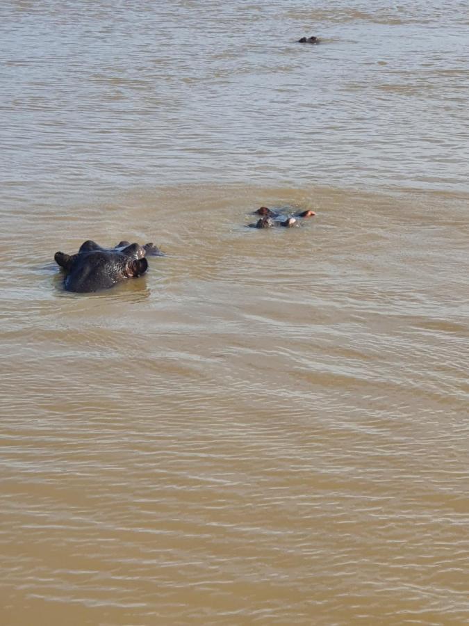 Saint Lucia Estuary Unit 30 The Bridge - Family Unit In A Prime Spot On The Ground Floor 아파트 외부 사진